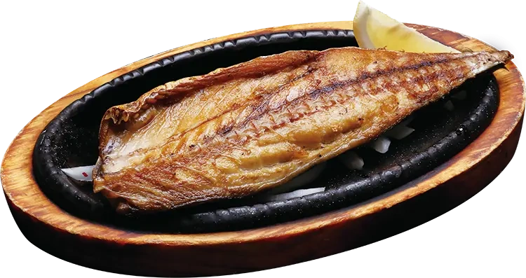 Mackerel Combo